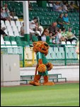 05.jpg