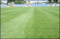06.jpg