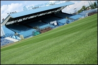08.jpg