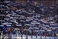 06.jpg