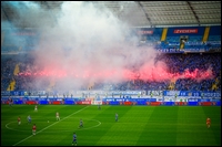 19.jpg