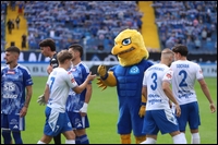 06.jpg