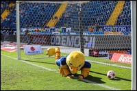 59.jpg